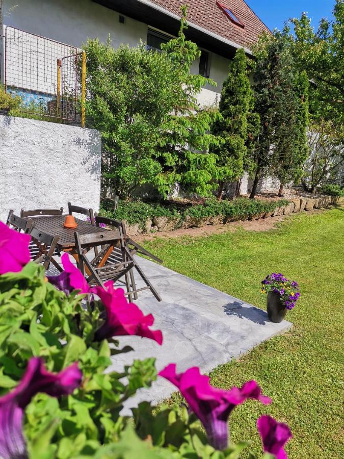 Appartamento Michelle apartman Horovicky Esterno foto